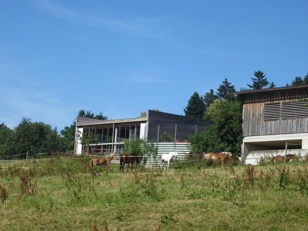 הורבראנץ Ferienhaus Sandra מראה חיצוני תמונה